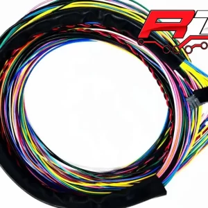 RAMAL RACETEC R1000/R750 BASICO